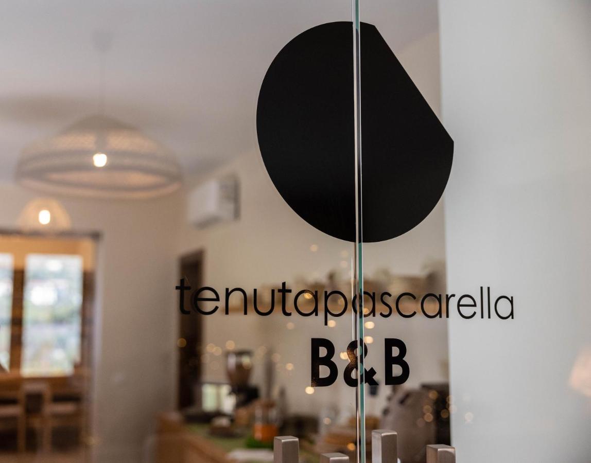Tenuta Pascarella Bed & Breakfast Frasso Telesino Exterior photo